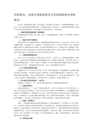 经验做法：党建引领建强堡垒 夯实基础助推治理新格局.docx