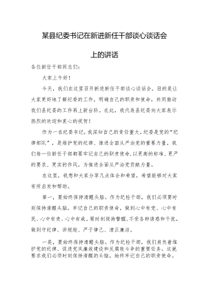 某县纪委书记在新进新任干部谈心谈话会上的讲话.docx