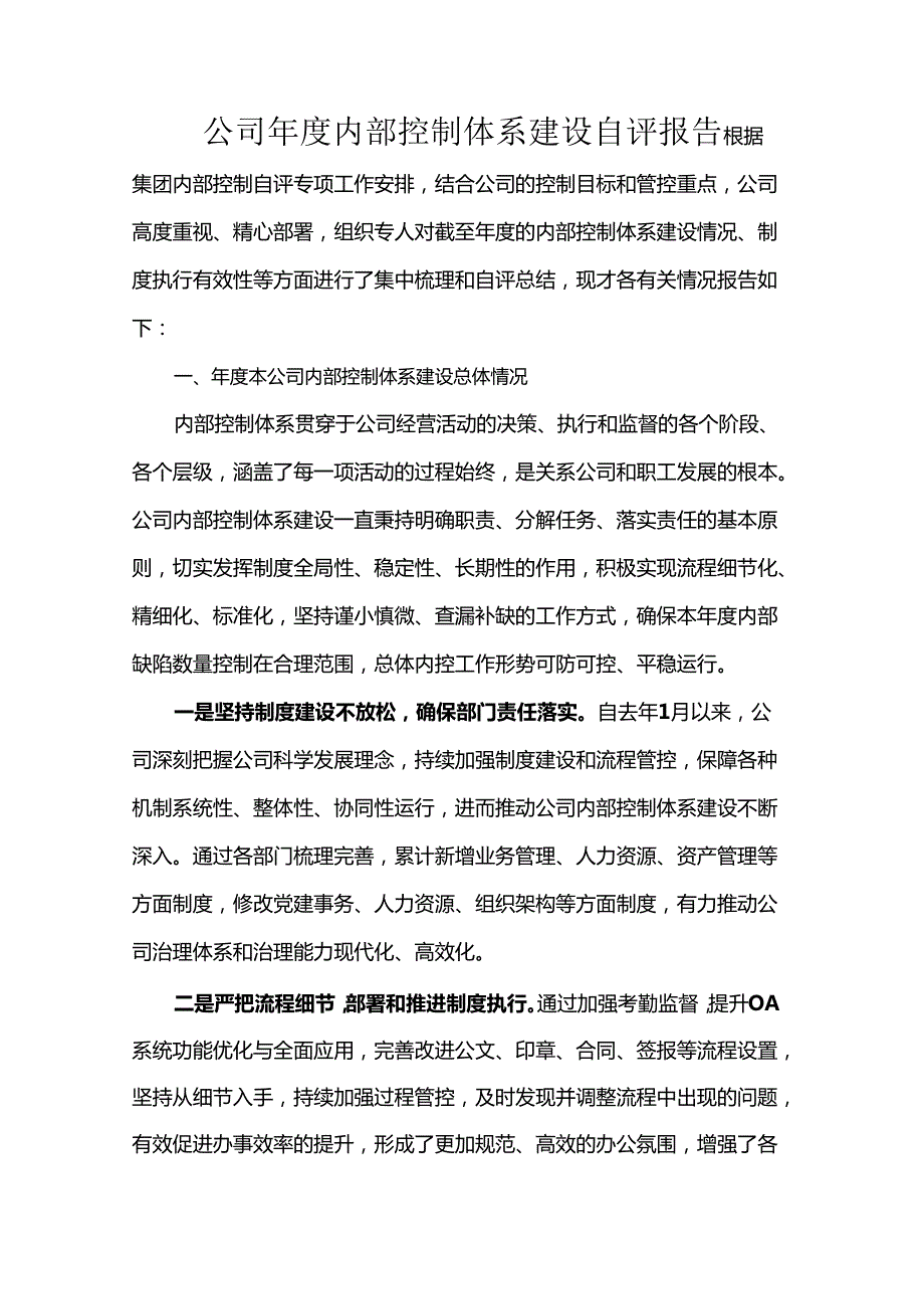 公司年度内部控制体系建设自评报告.docx_第1页