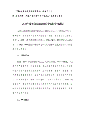 理论学习中心组2024年度学习计划及重点范文2篇汇编.docx