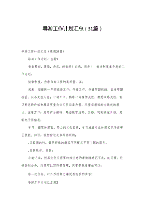 导游工作计划汇总（31篇）.docx