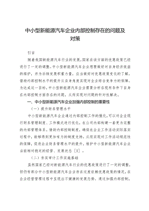 中小型新能源汽车企业内部控制存在的问题及对策.docx