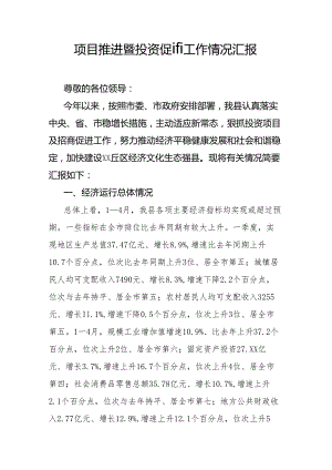 项目推进暨投资促进工作情况汇报.docx