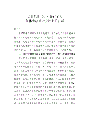 某某纪委书记在新任干部集体廉政谈话会议上的讲话.docx