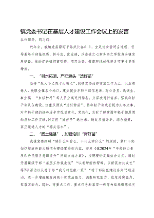 镇党委书记在基层人才建设工作会议上的发言.docx