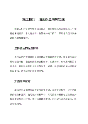 施工技巧：墙面保温隔热实践.docx