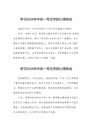 驻村干部关于2024年中央一号文件的学习体会二十四篇.docx