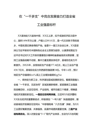 在“一干多支”中竞合发展奋力打造全省工业强县标杆.docx