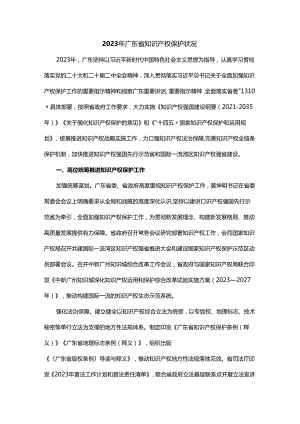 2023年广东省知识产权保护状况-中文、英文双语版.docx