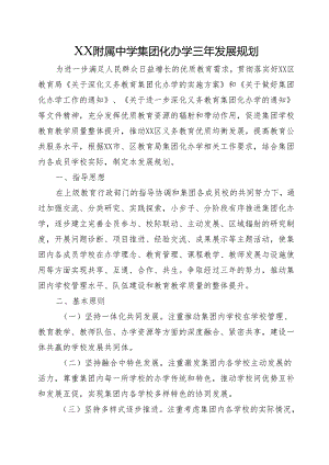 XX附属中学集团化办学三年发展规划.docx