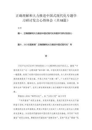 正确理解和大力推进中国式现代化专题学习研讨发言心得体会(精选18篇汇编).docx