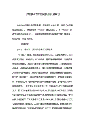 护理事业五五期间提质发展规划.docx