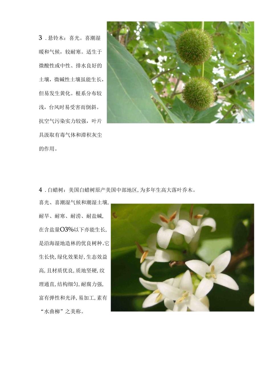 30种适合河南生长的植物.docx_第2页