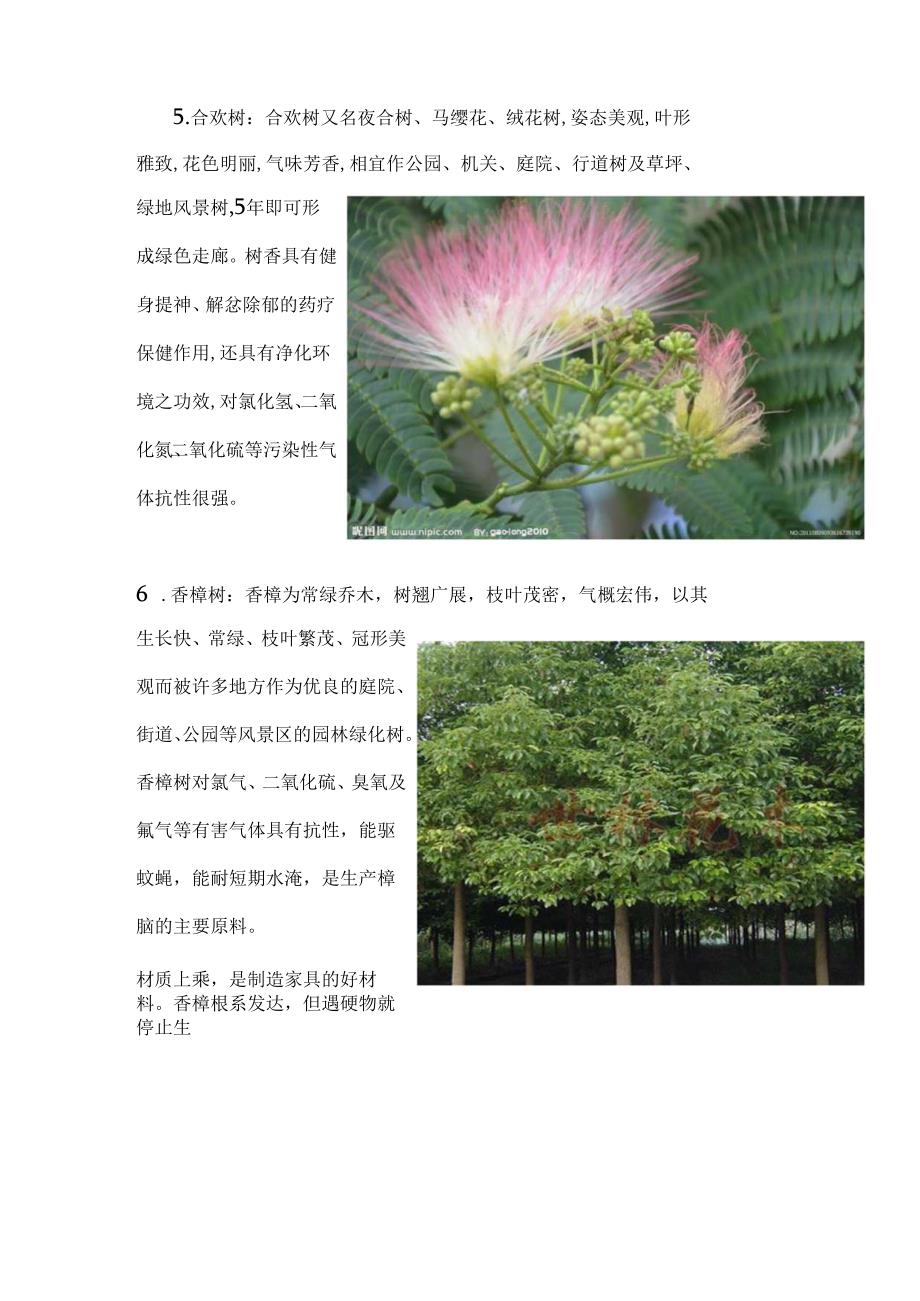 30种适合河南生长的植物.docx_第3页