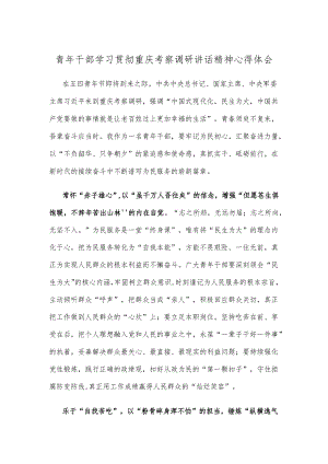 青年干部学习贯彻重庆考察调研讲话精神心得体会.docx