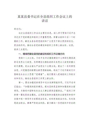 某某县委书记在全县组织工作会议上的讲话.docx