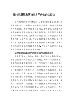 坚持高质量发展和高水平安全良性互动.docx