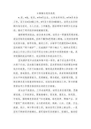 乡镇镇长现实表现.docx