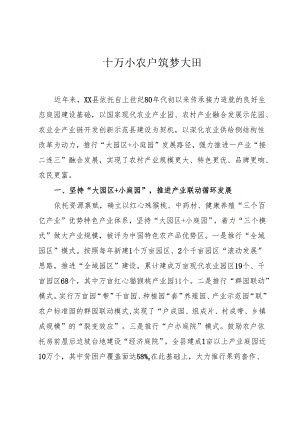 十万小农户 筑梦大田园.docx