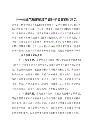 进一步规范和明确项目审计相关事项的意见.docx