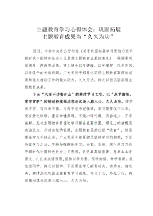 主题教育学习心得体会：巩固拓展主题教育成果当“久久为功”.docx