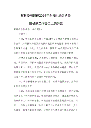 某县委书记在2024年全县耕地保护暨田长制工作会议上的讲话.docx