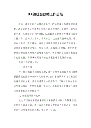 XX镇社会救助工作总结.docx