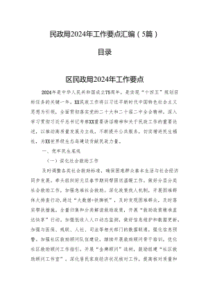 民政局2024年工作要点汇编（5篇）.docx