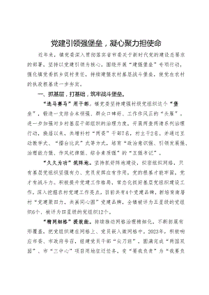 经验做法：党建引领强堡垒凝心聚力担使命.docx