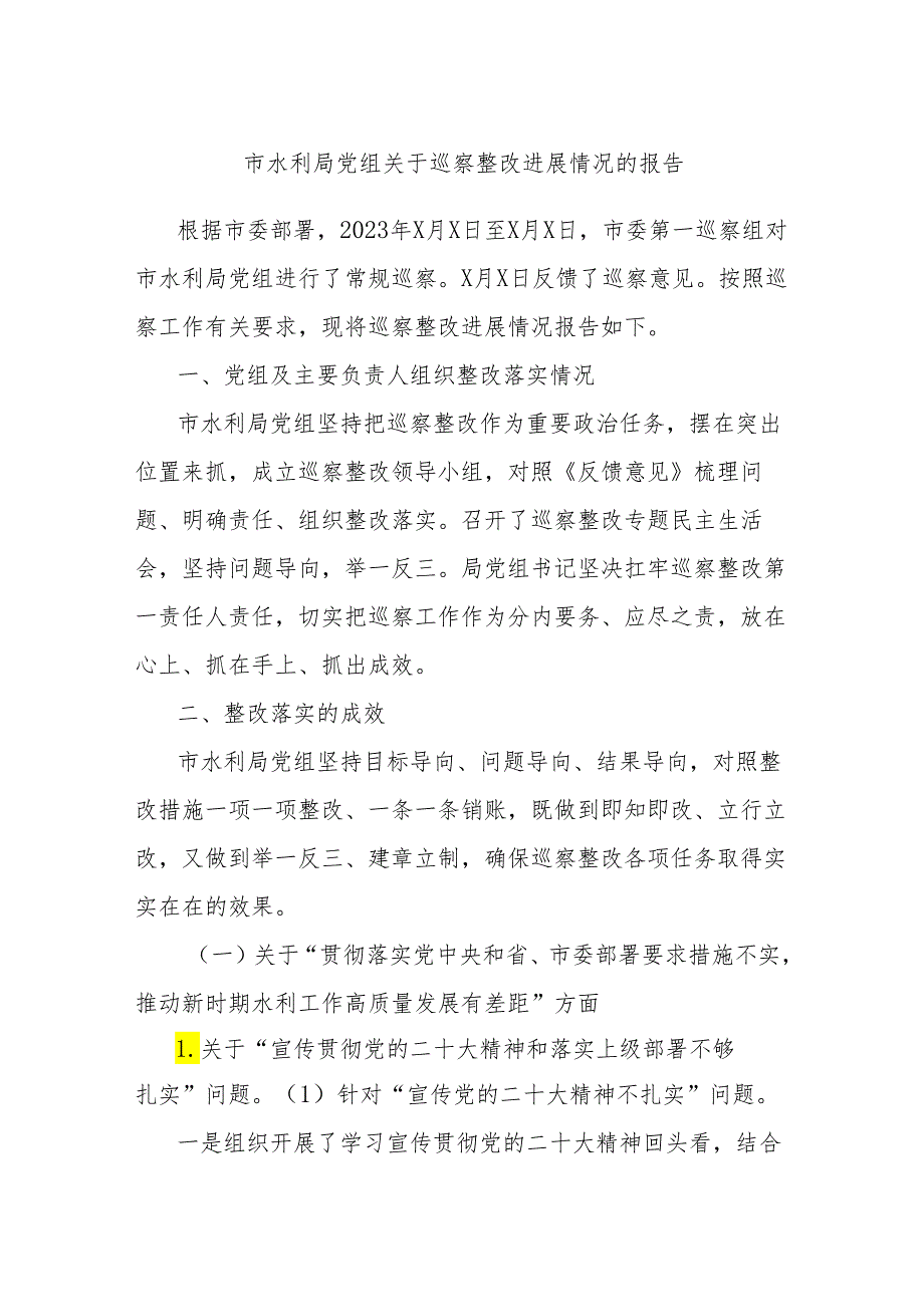 市水利局党组关于巡察整改进展情况的报告.docx_第1页