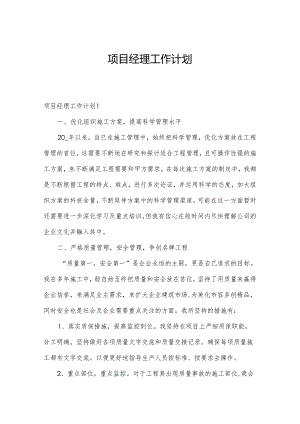 项目经理工作计划.docx