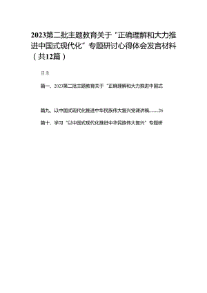 第二批关于“正确理解和大力推进中国式现代化”专题研讨心得体会发言材料12篇(最新精选).docx