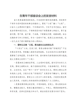 在青年干部座谈会上的发言材料 .docx