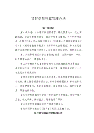 某某学院预算管理办法.docx