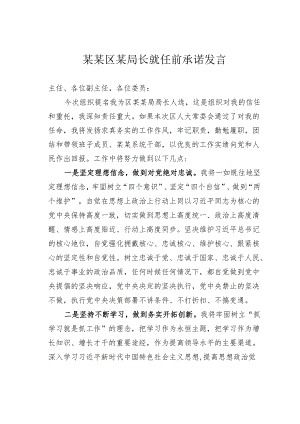 某某区某局长就任前承诺发言.docx