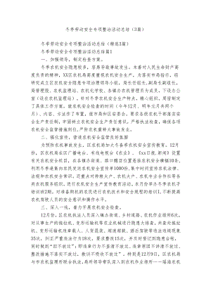 冬季劳动安全专项整治活动总结（3篇）.docx