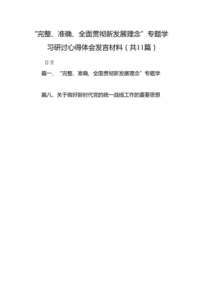 “完整、准确、全面贯彻新发展理念”专题学习研讨心得体会发言材料（共11篇）.docx