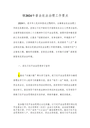 镇2024年普法依法治理工作要点.docx