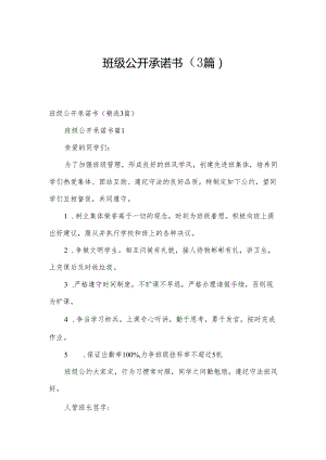 班级公开承诺书（3篇）.docx