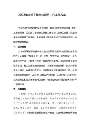 党建项目实施方案.docx