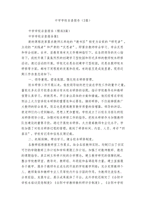 中学学校自查报告（3篇）.docx