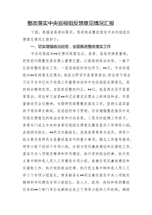 整改落实中央巡视组反馈意见情况汇报.docx