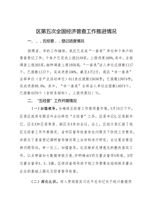 区第五次全国经济普查工作推进情况报告.docx