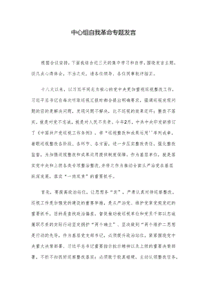 中心组自我革命专题发言.docx