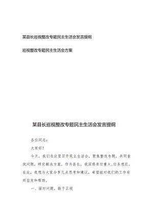 某县长巡视整改专题民主生活会发言提纲、巡视整改专题民主生活会方案.docx