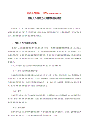 宝钢-人力资源分战略及其相关措施分析报告.docx