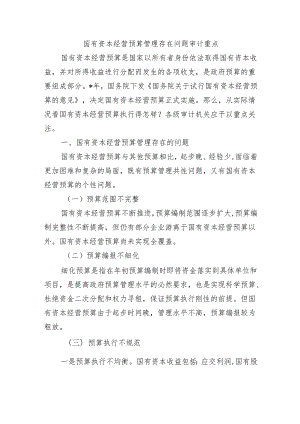 国有资本经营预算管理存在问题审计重点.docx