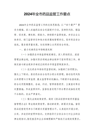 2024年全市药品监管工作要点.docx