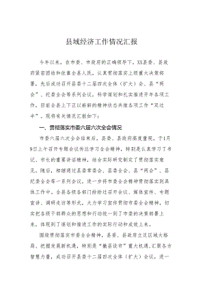 县域经济工作情况汇报.docx