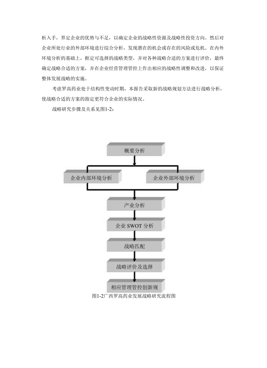 广西罗高-战略研究报告.docx_第3页